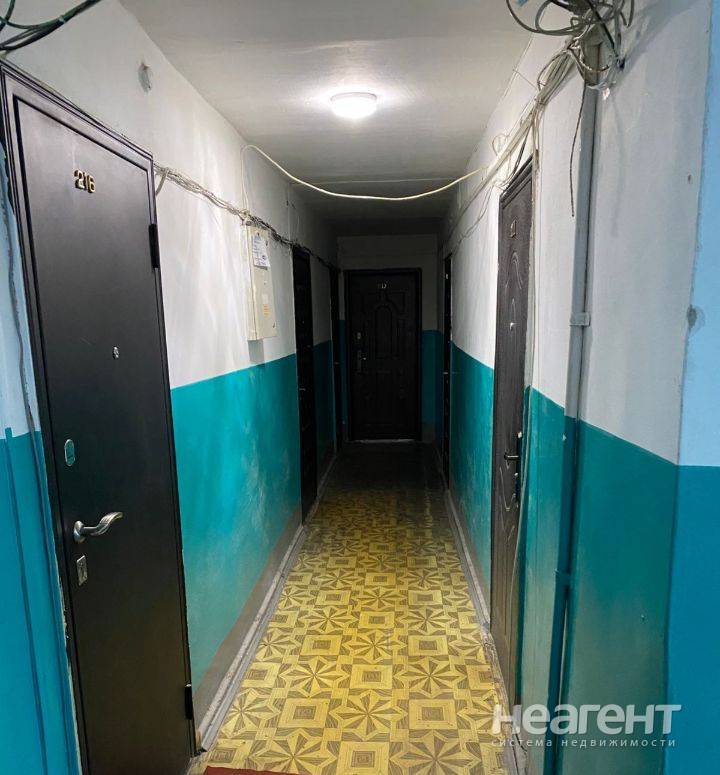 Фотография №5