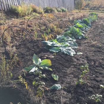 Продается Участок, 800 м²