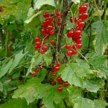 Продается Дом, 23 м²