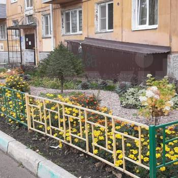 Сдается 1-комнатная квартира, 30,5 м²