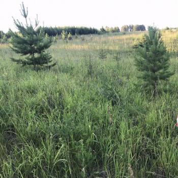 Продается Участок, 1930 м²