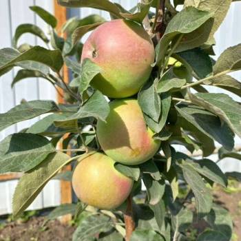 Продается Участок, 1000 м²