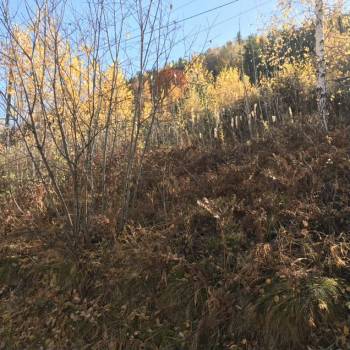 Продается Участок, 700 м²