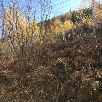 Продается Участок, 700 м²