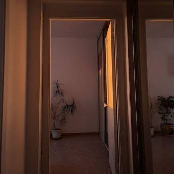 Сдается 2-х комнатная квартира, 54 м²