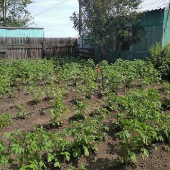 Продается Участок, 490 м²