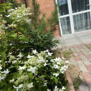 Продается Дом, 453 м²