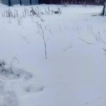 Продается Участок, 1000 м²