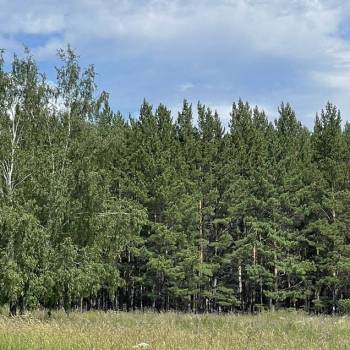 Продается Участок, 1300 м²