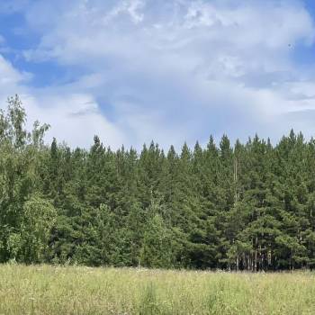 Продается Участок, 1300 м²