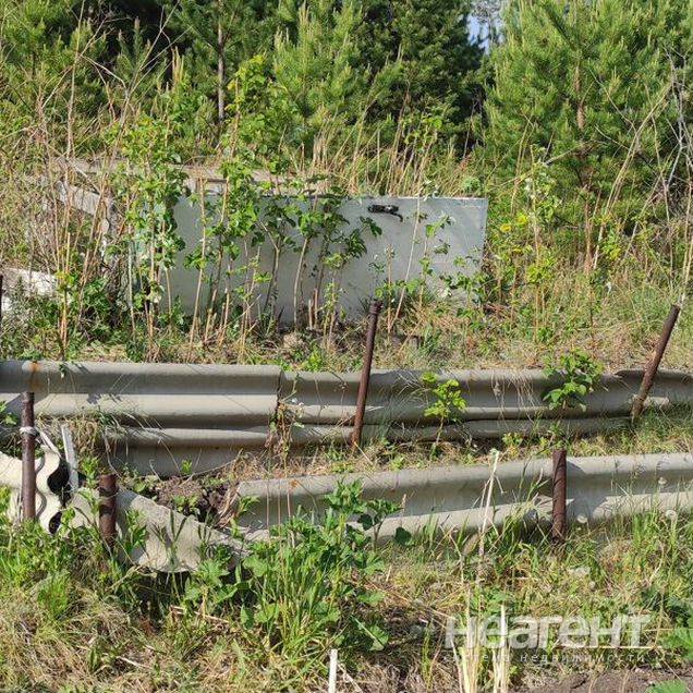 Фотография №3