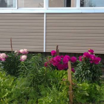 Продается 2-х комнатная квартира, 54 м²