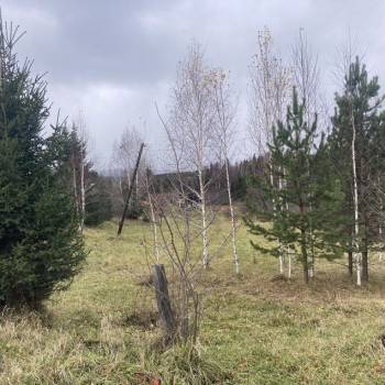 Продается Участок, 2000 м²