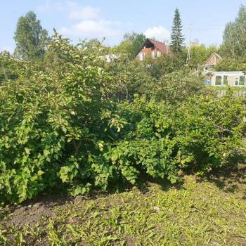 Продается Участок, 890 м²