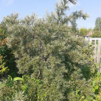 Продается Участок, 890 м²