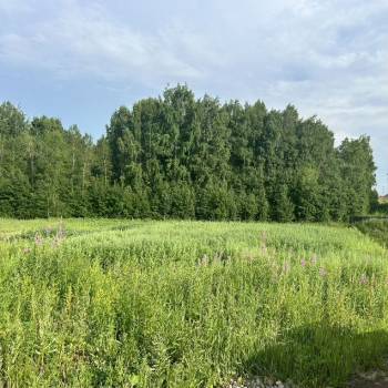 Продается Участок, 2000 м²