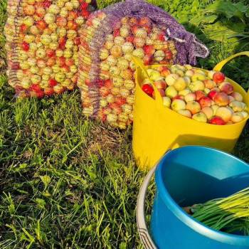 Продается Участок, 750 м²