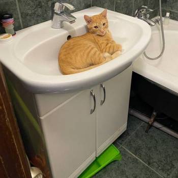 Сдается Многокомнатная квартира, 64 м²