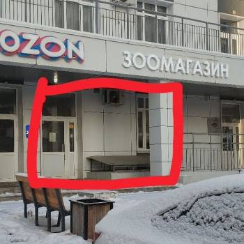 Сдается Нежилое помещение, 55 м²