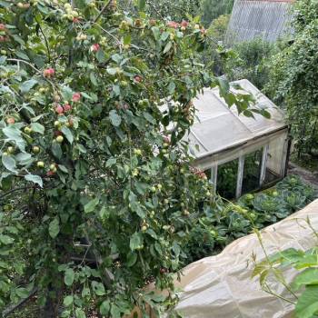 Продается Дом, 28 м²