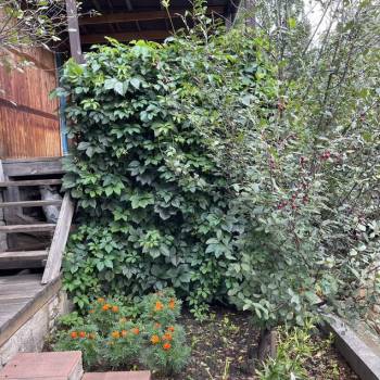 Продается Дом, 28 м²