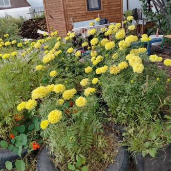 Продается Участок, 650 м²