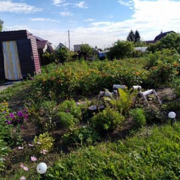 Продается Участок, 650 м²