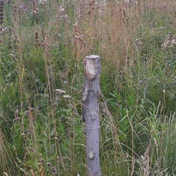 Продается Участок, 1500 м²