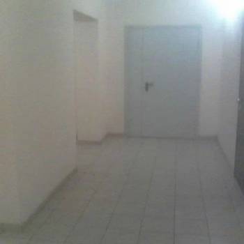 Сдается 2-х комнатная квартира, 55 м²