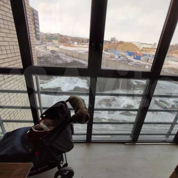 Сдается Многокомнатная квартира, 86 м²