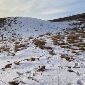 Продается Участок, 1300 м²