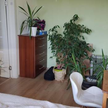 Сдается Комната, 53,8 м²