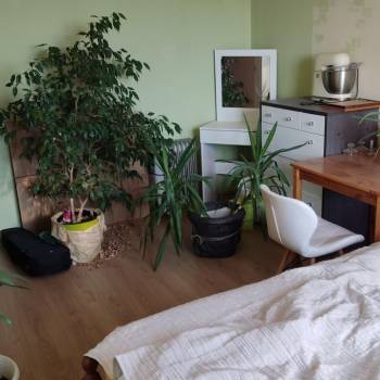 Сдается Комната, 53,8 м²