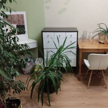 Сдается Комната, 53,8 м²