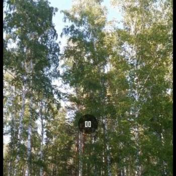 Продается Дом, 20 м²