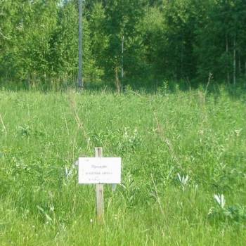 Продается Участок, 1000 м²