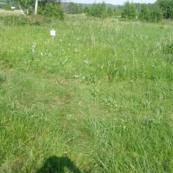 Продается Участок, 1000 м²