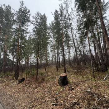 Продается Участок, 800 м²