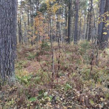 Продается Участок, 1000 м²