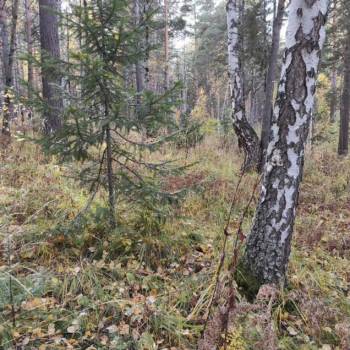 Продается Участок, 1000 м²