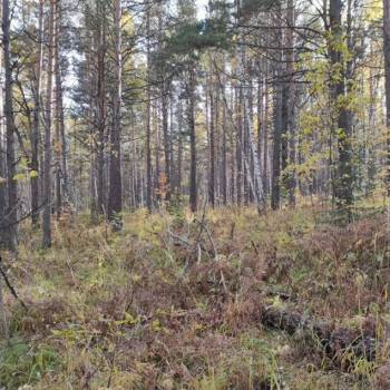 Продается Участок, 1000 м²