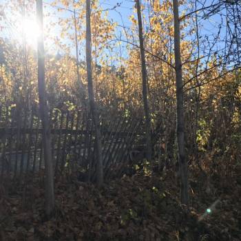 Продается Участок, 700 м²