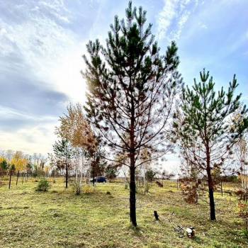 Продается Участок, 750 м²