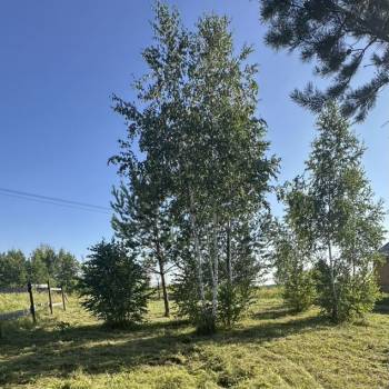 Продается Участок, 750 м²