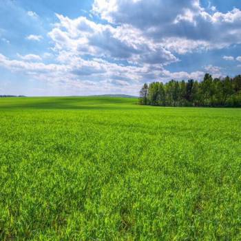 Продается Участок, 93000 м²