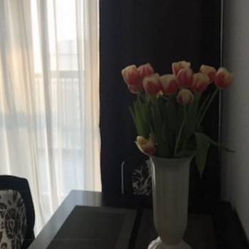 Сдается 1-комнатная квартира, 50 м²