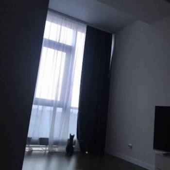 Сдается 1-комнатная квартира, 50 м²