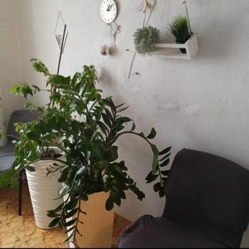 Сдается Комната, 54 м²