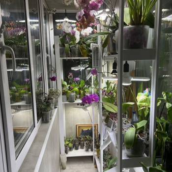 Продается 3-х комнатная квартира, 68 м²