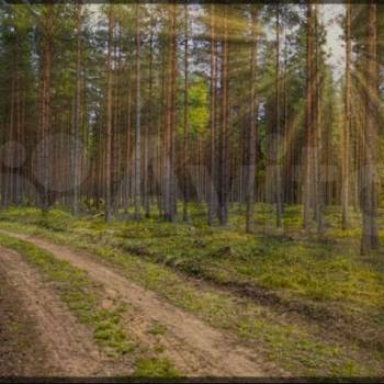 Продается Участок, 700 м²